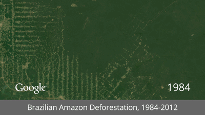 Brazilian Amazon Deforestation