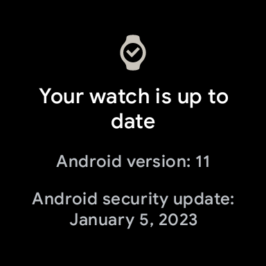 Pixel Watch January 2023 update