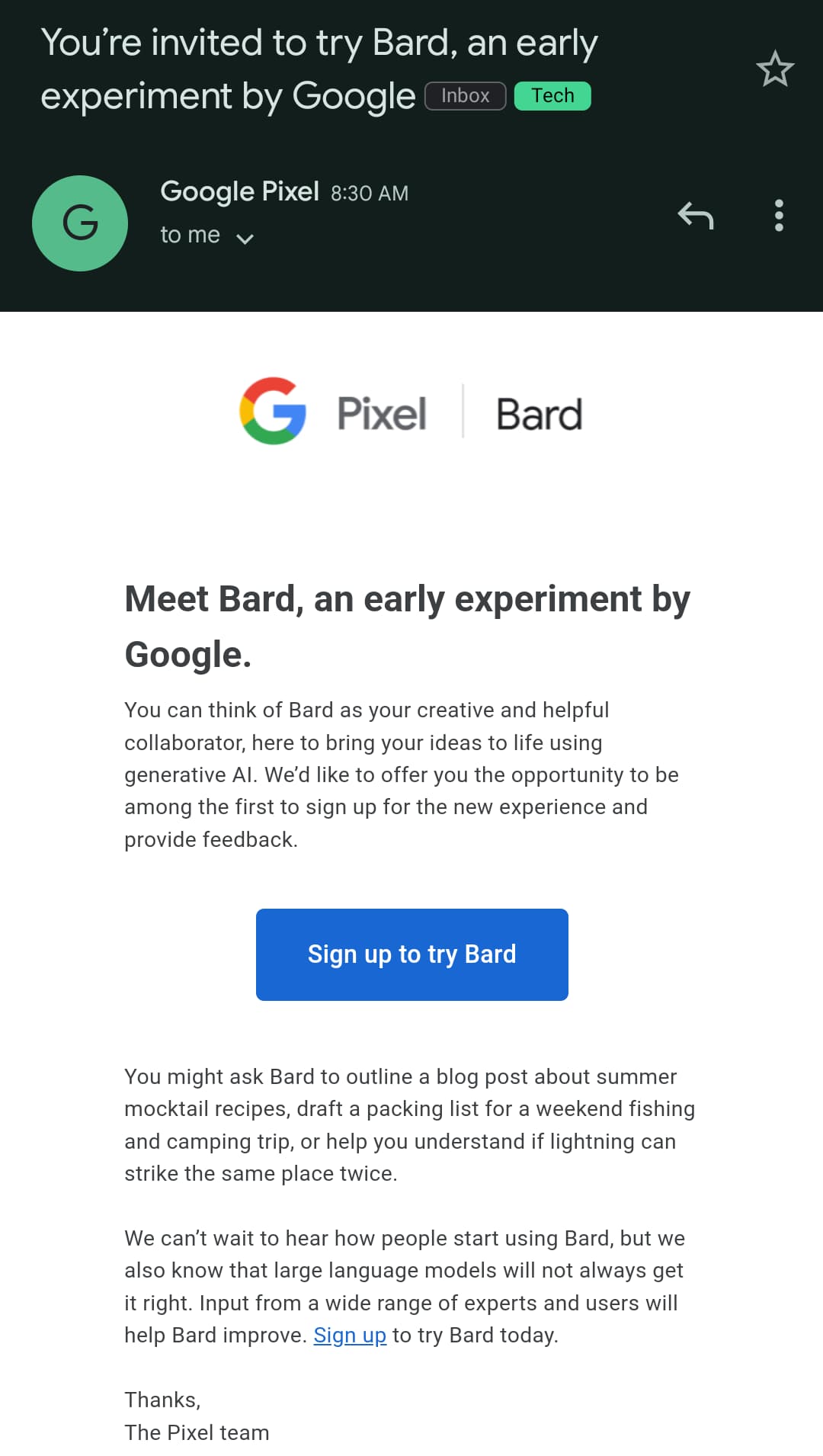Google Bard Pixel Nest