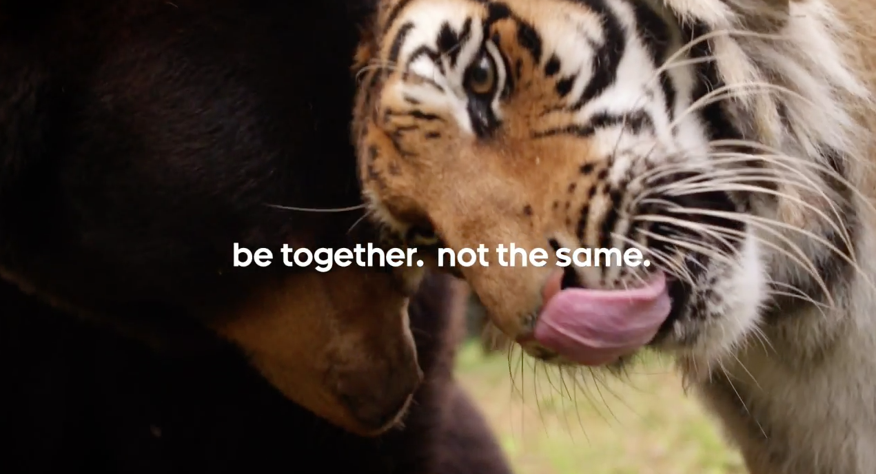 google-introduces-new-set-of-be-together-not-the-same-ads-featuring