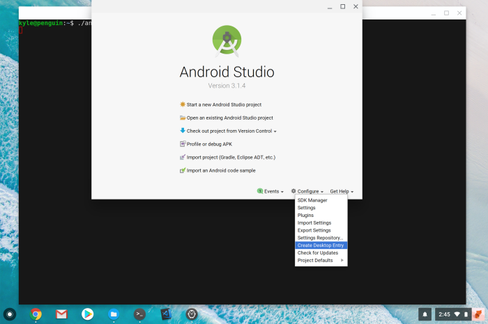 Chrome OS Android Studio Create Desktop Entry