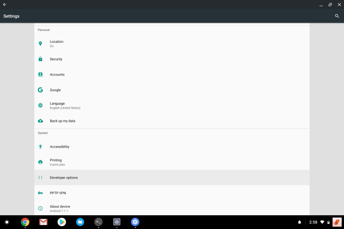 Chrome OS Android settings Developer Options