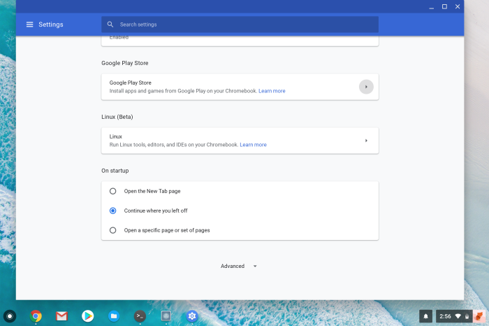 Chrome OS Play Store settings