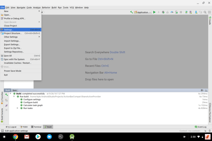 Flutter on Chrome OS Android Studio settings