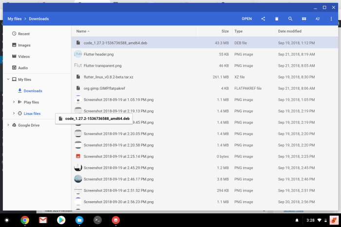 Flutter on Chrome OS Visual Studio Code Linux Files
