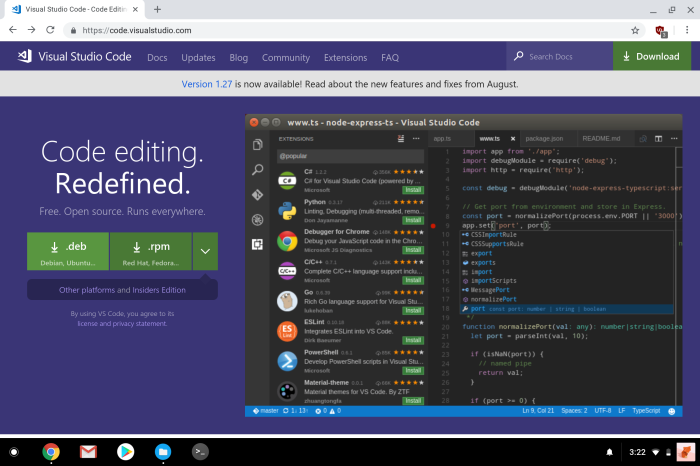 Flutter on Chrome OS Visual Studio Code Download