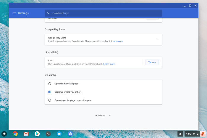 Chrome OS settings Linux Apps