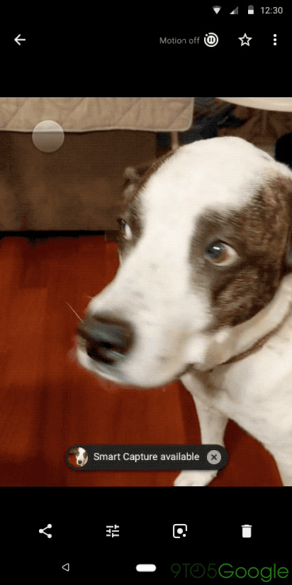 Exclusive: Google Pixel 3 camera brings AI 'Top Shot,' Google Clips ...