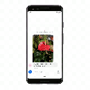 Google Lens Pixel 3