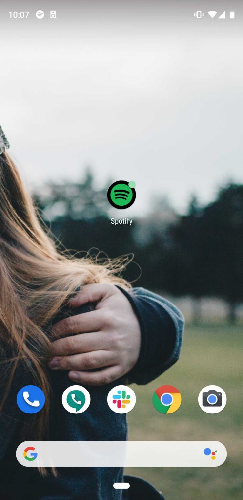 spotify adaptive icon