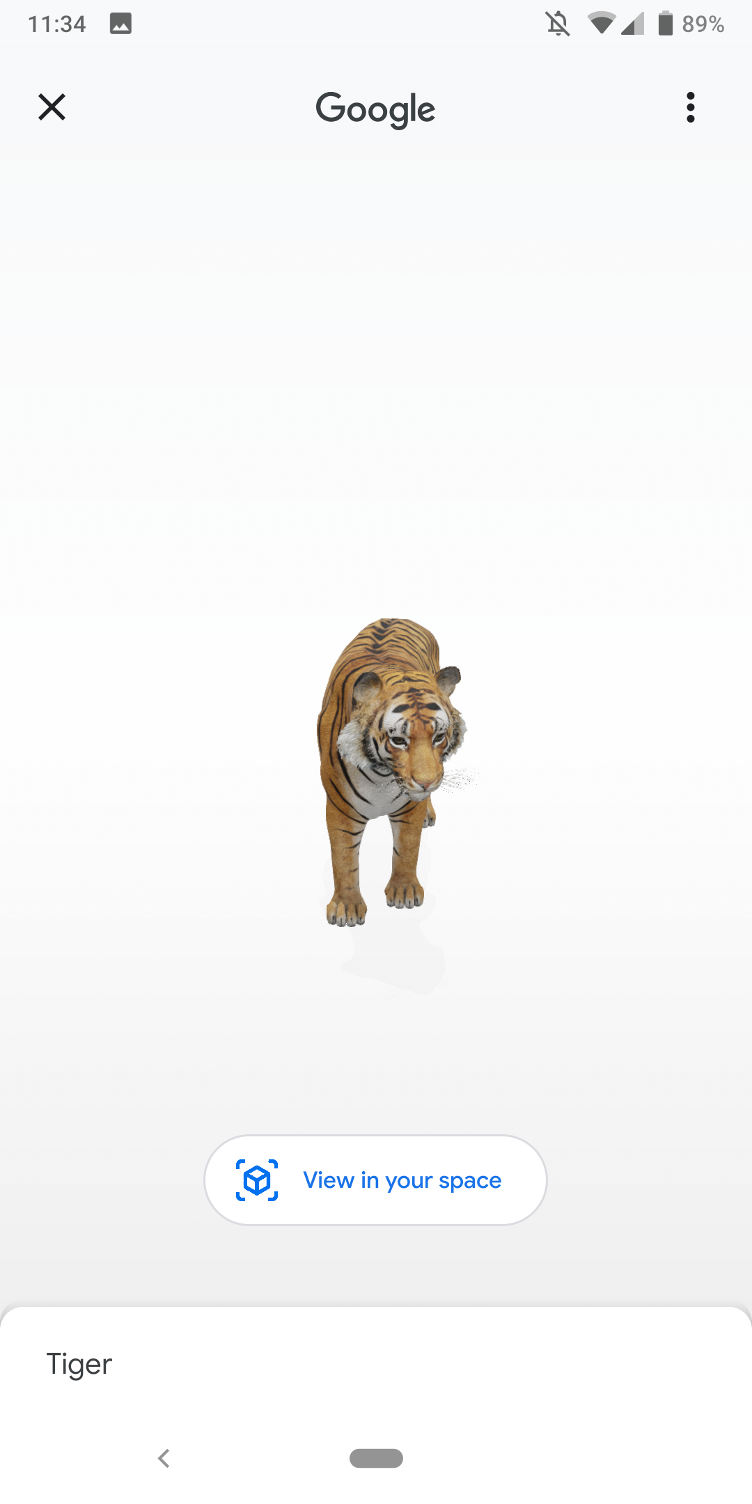 First AR objects launch in Google Search with 3D animals