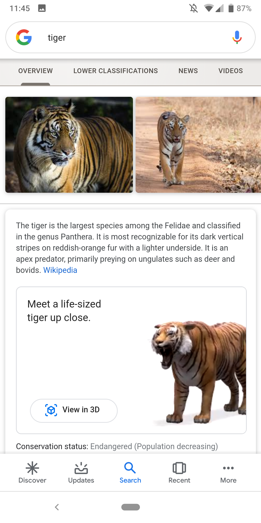 First AR objects launch in Google Search with 3D animals