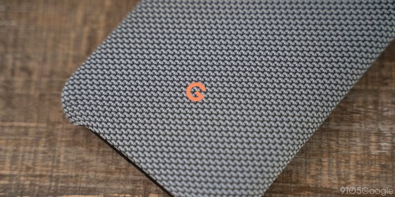 google logo fabric case