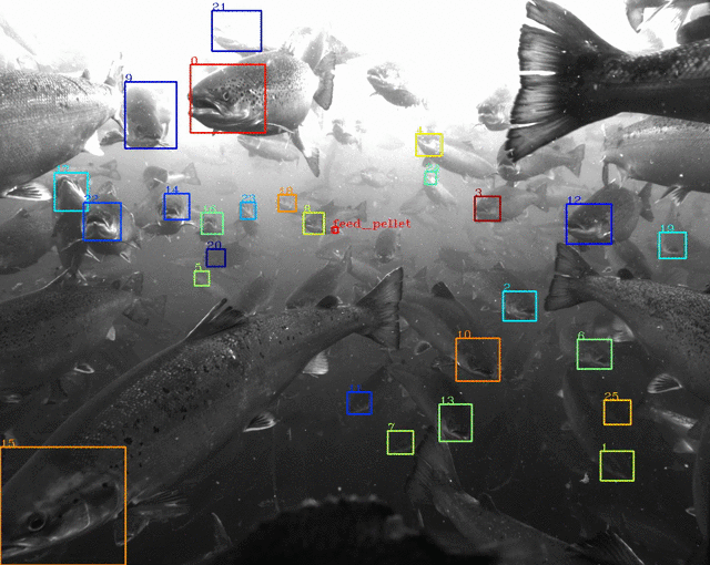 alphabet-x-tidal-ocean-2.gif?w=640