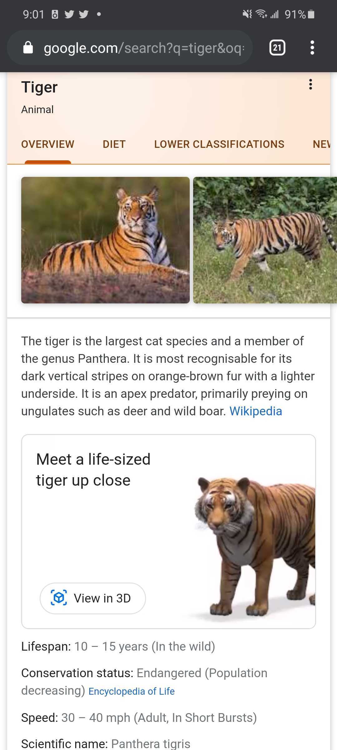 Google 3D animals list Lions, tigers, dinos and more