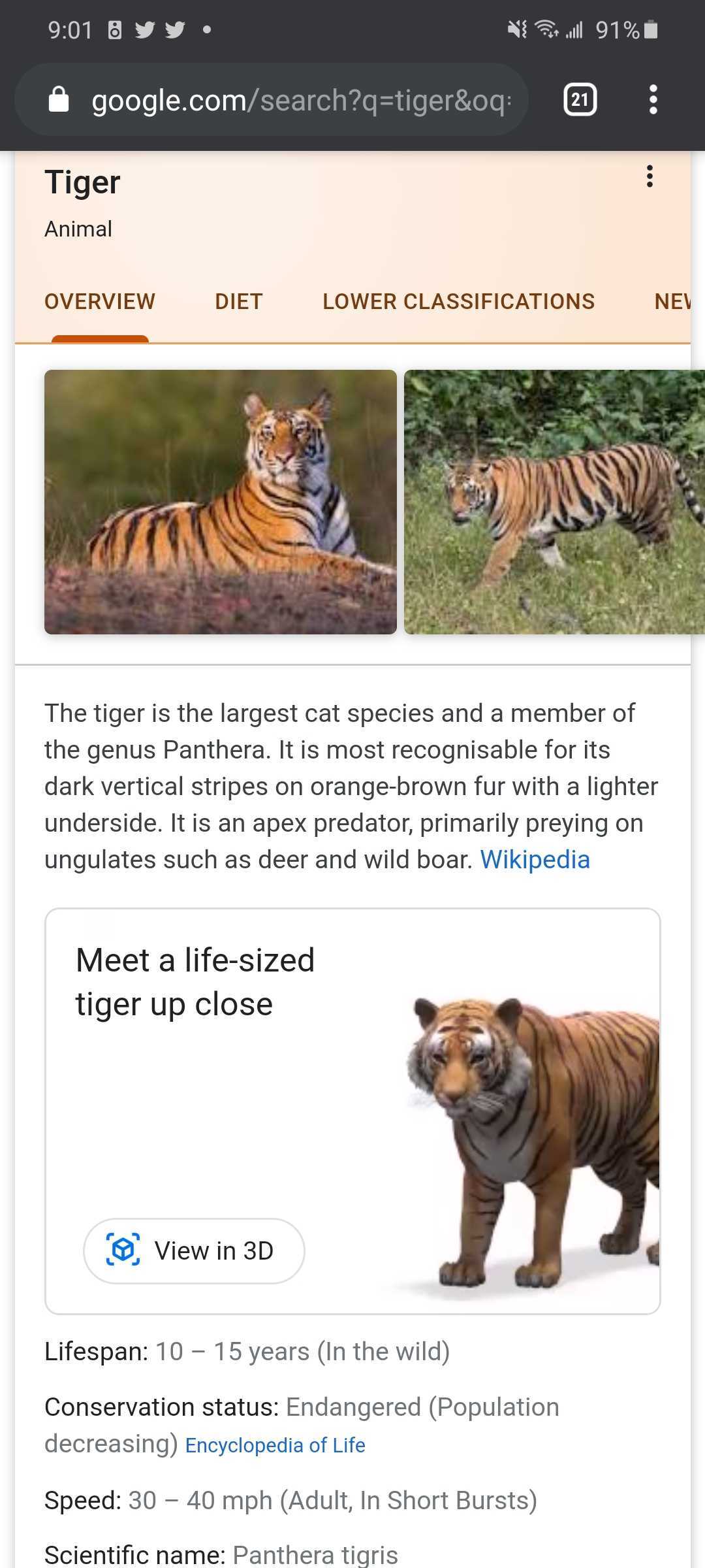 Google 3D animals list Lions, tigers, dinos and more! 9to5Google