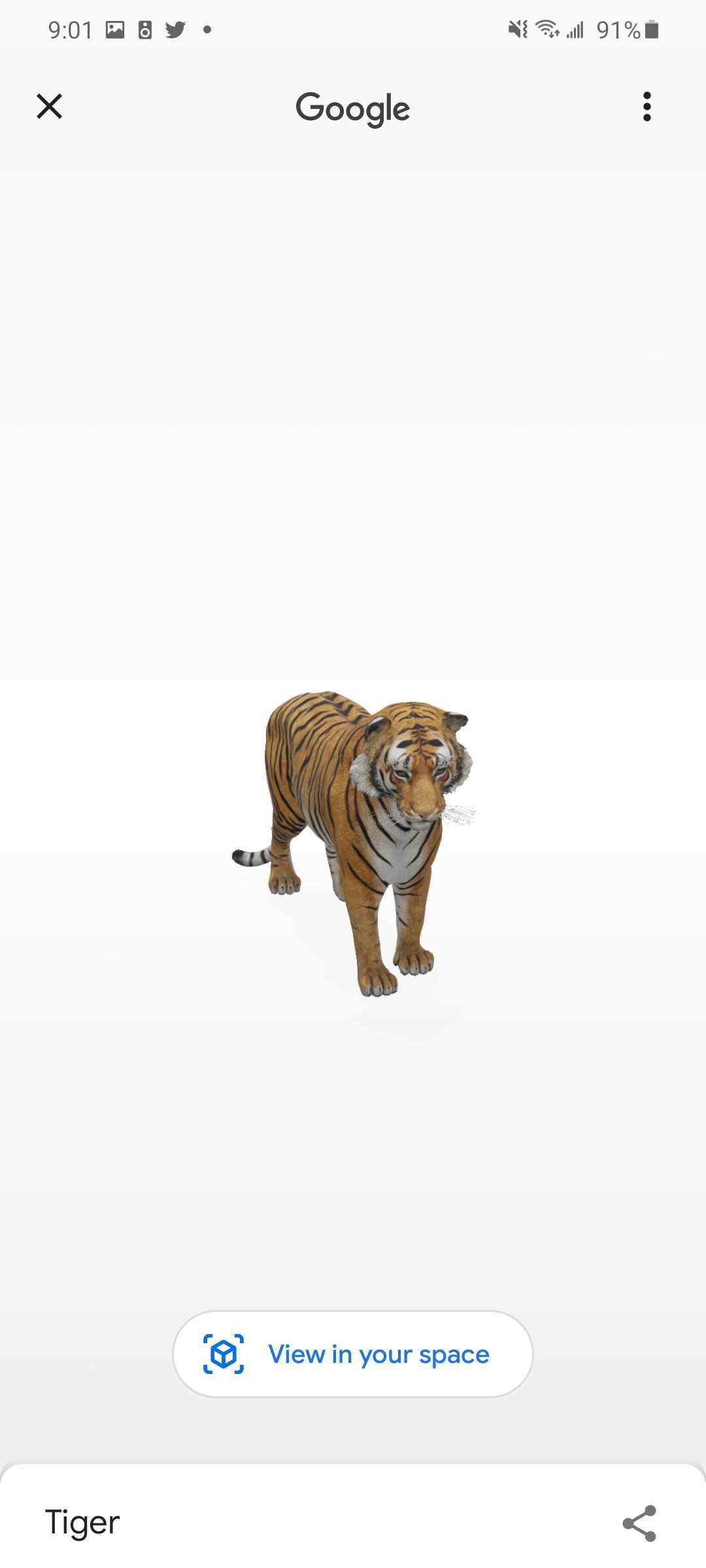 Google 3D Animals List Lions Tigers Dinos And More 9to5Google   Screenshot 20200424 090130 Google 