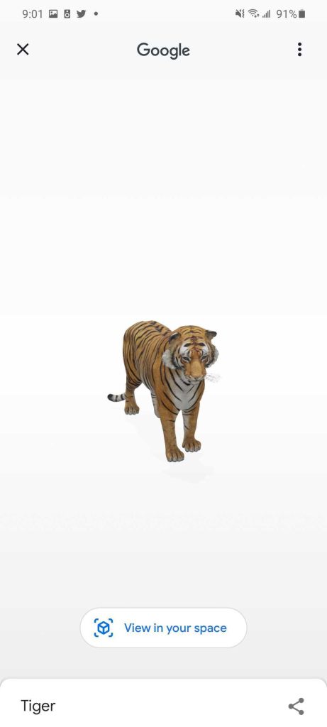 google 3d animals tiger view in your space