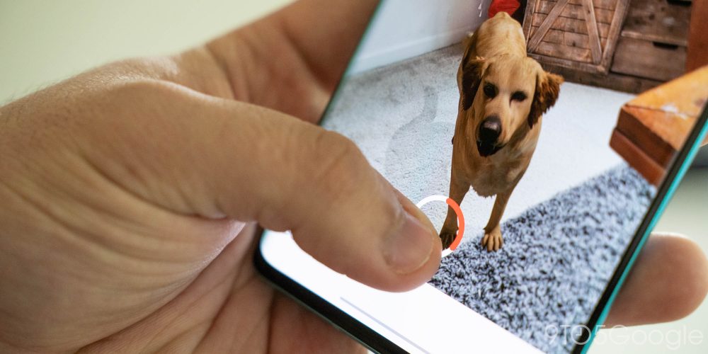 Google 3D animal videos: How to record video, take pictures - 9to5Google