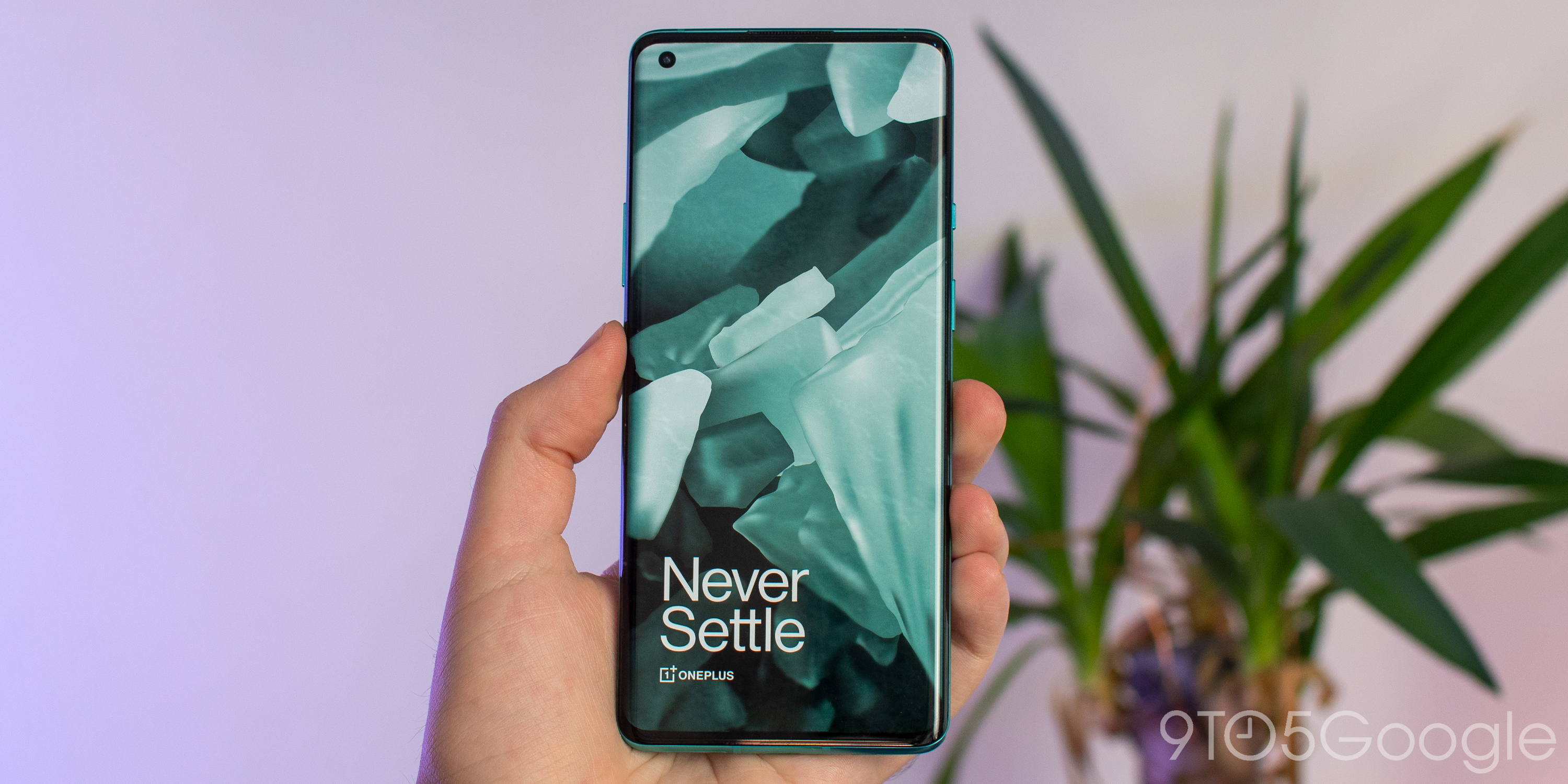 OnePlus wallpaper contest winners announced [Download] - 9to5Google