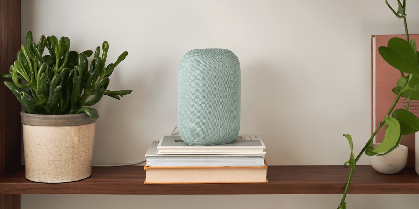 Google Nest Audio in Sage green