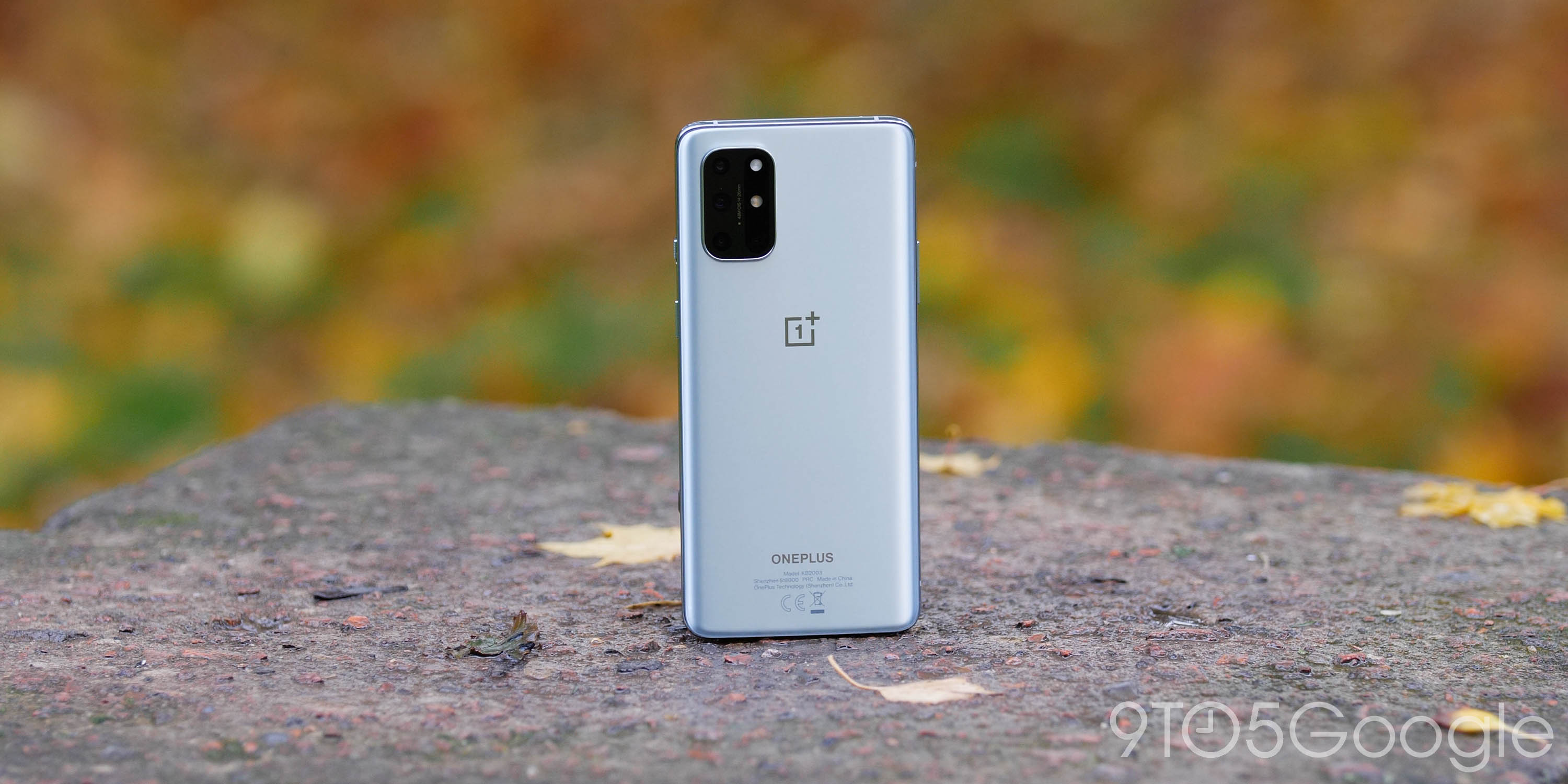 Oneplus 9 Lite May Be A Budget Model W Snapdragbon 865 9to5google