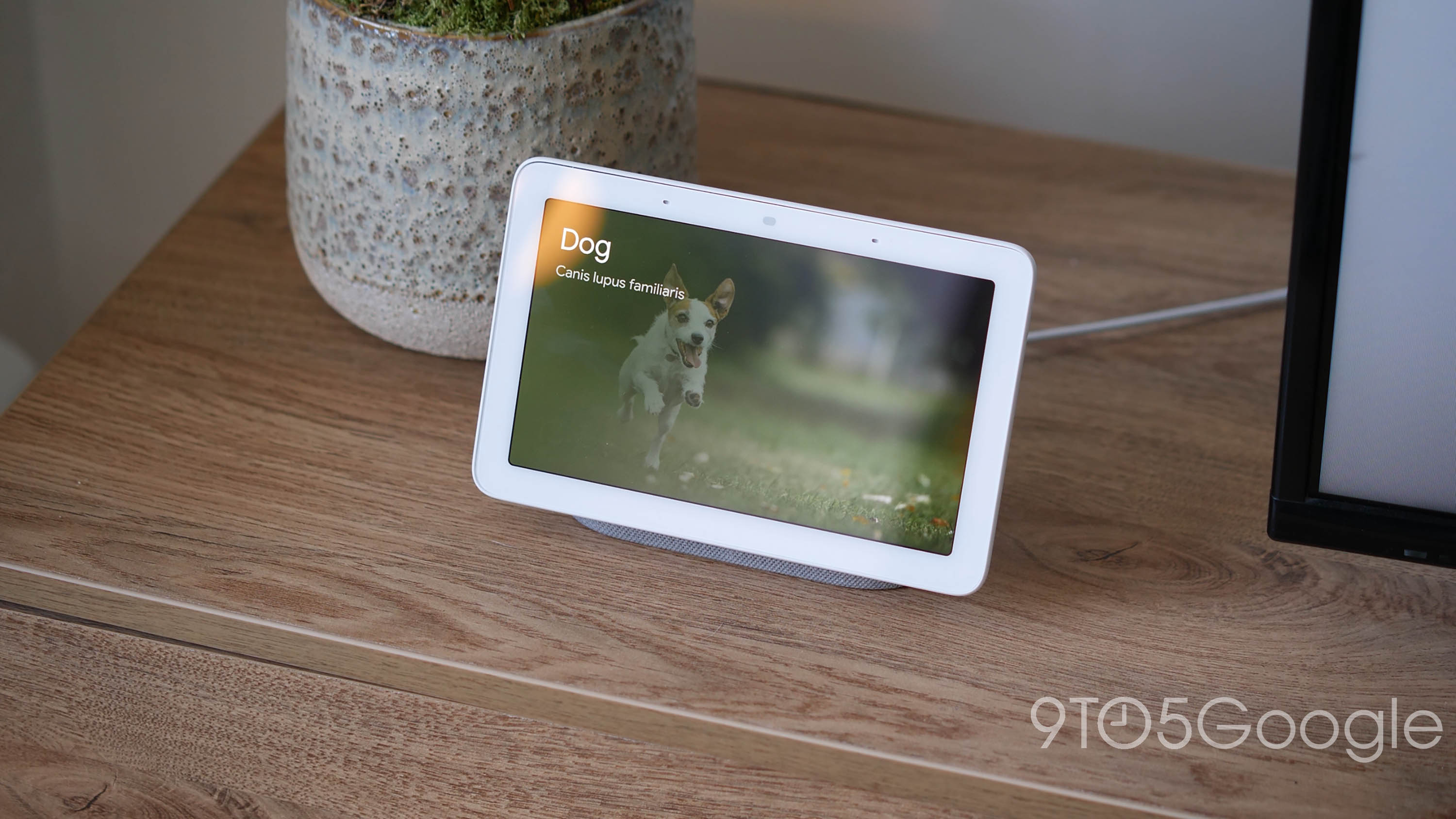 Google best sale hub wyze