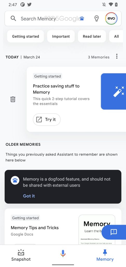 Google Assistant Memory