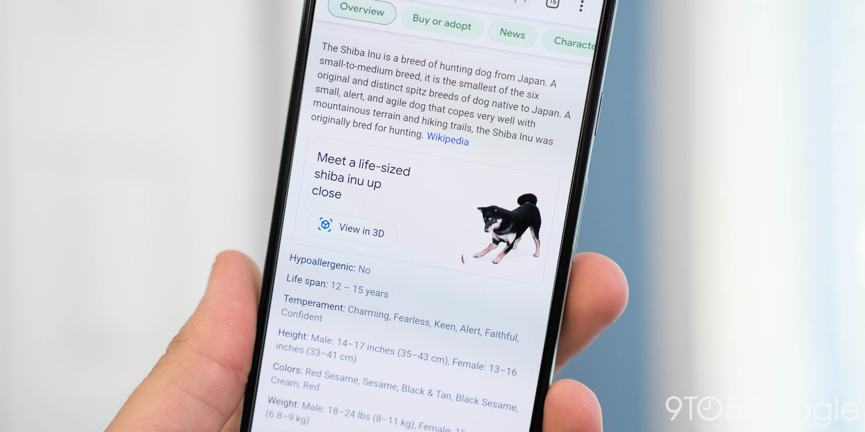 Google 3D Dogs and Cats: The full list of what's available - 9to5Google