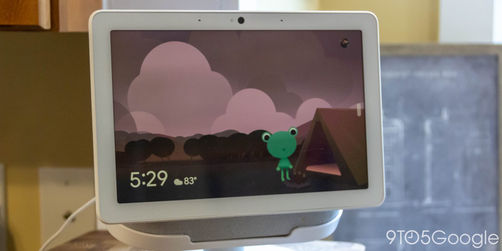 Google Nest Hub Weather Frog