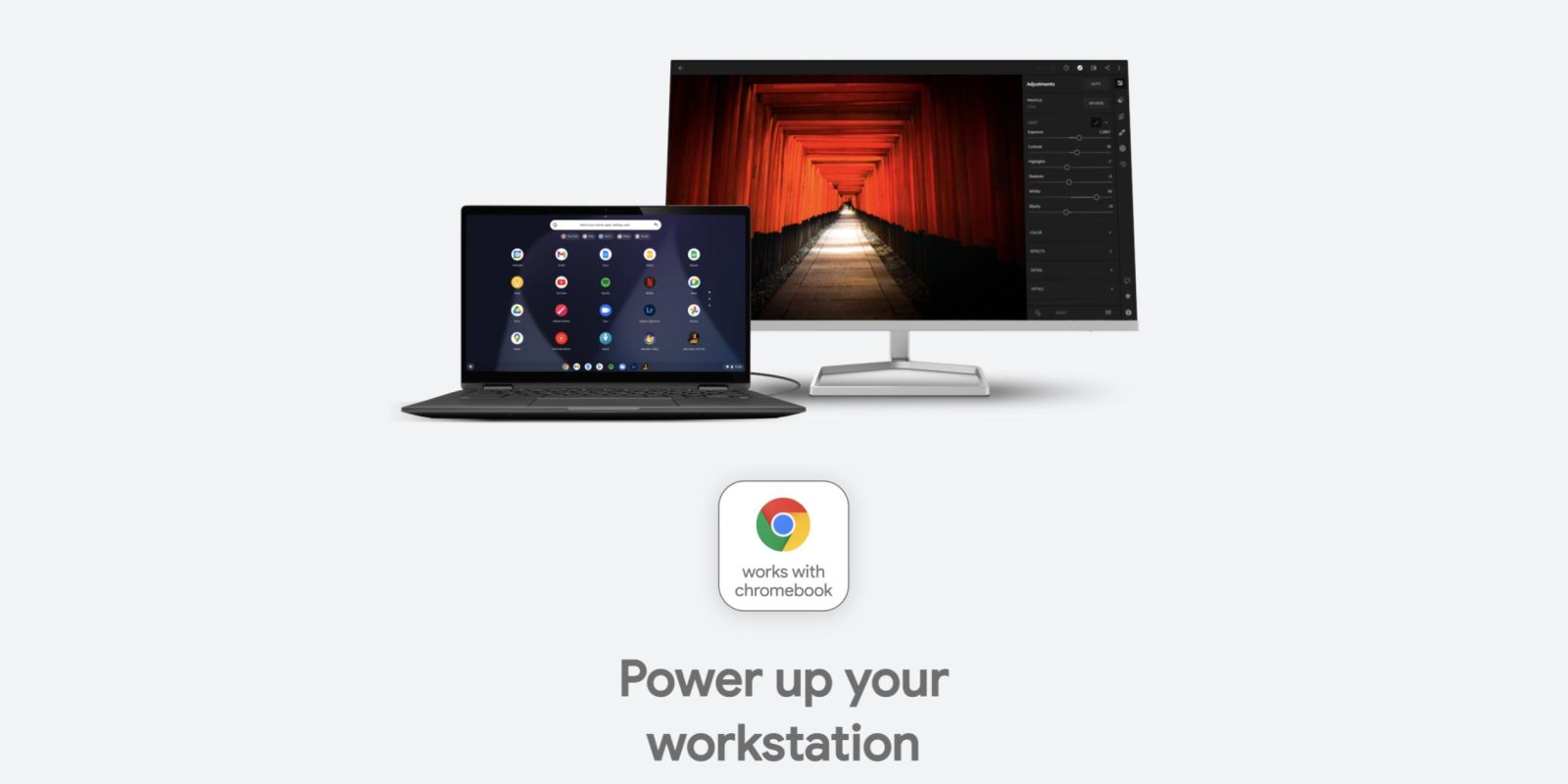 Works With Chromebook monitor