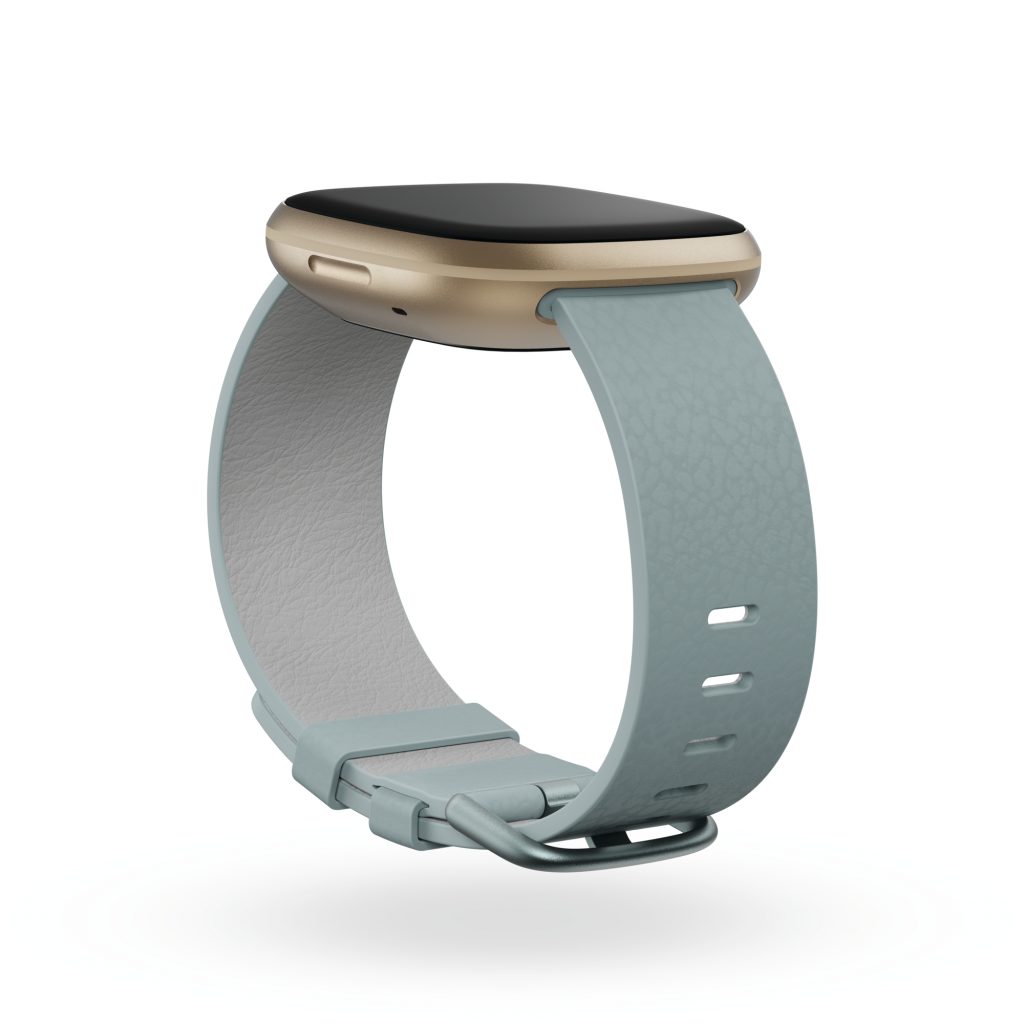 download fitbit bands