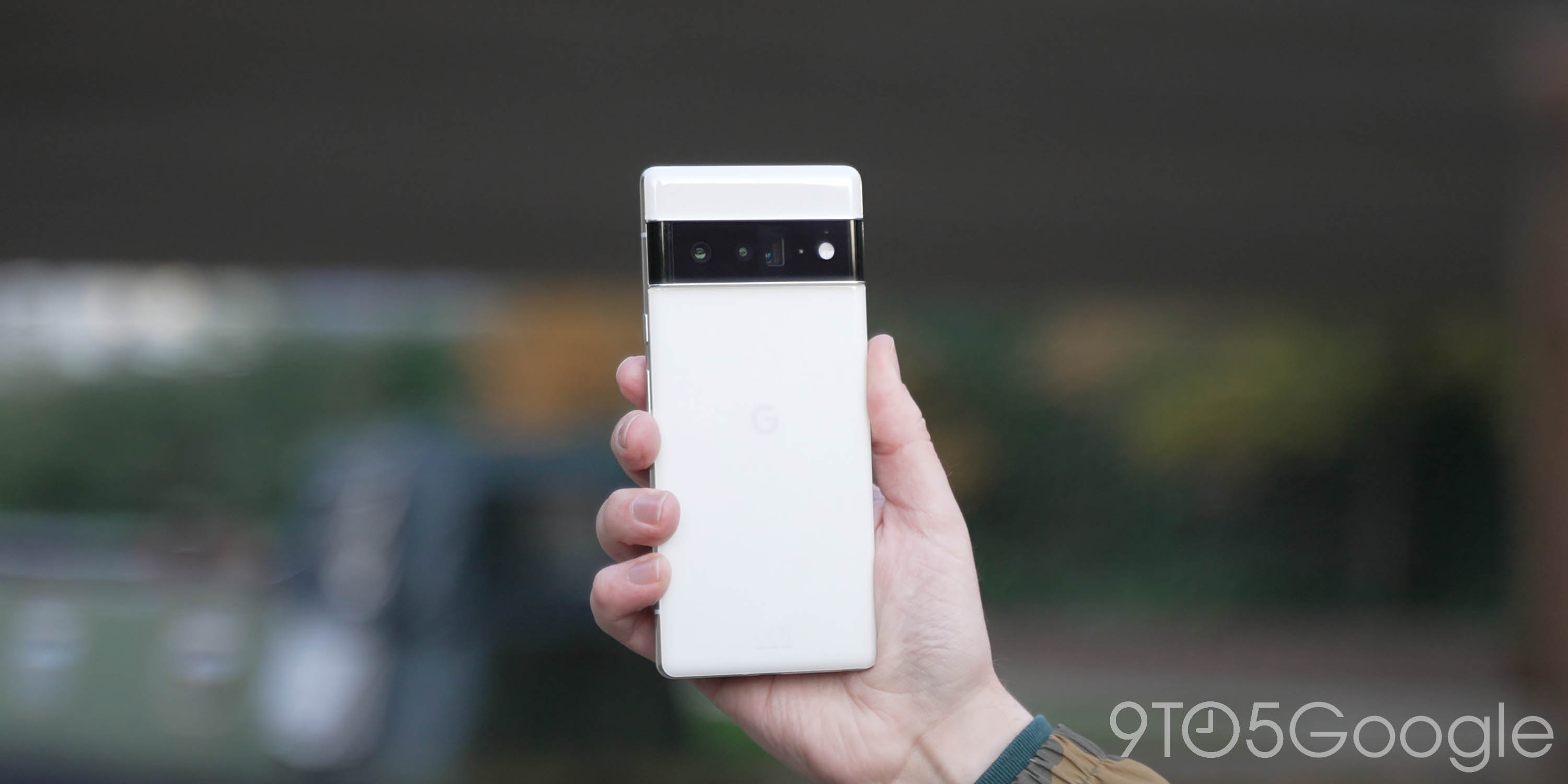 Poll: Which color Pixel 6/6 Pro did you choose?