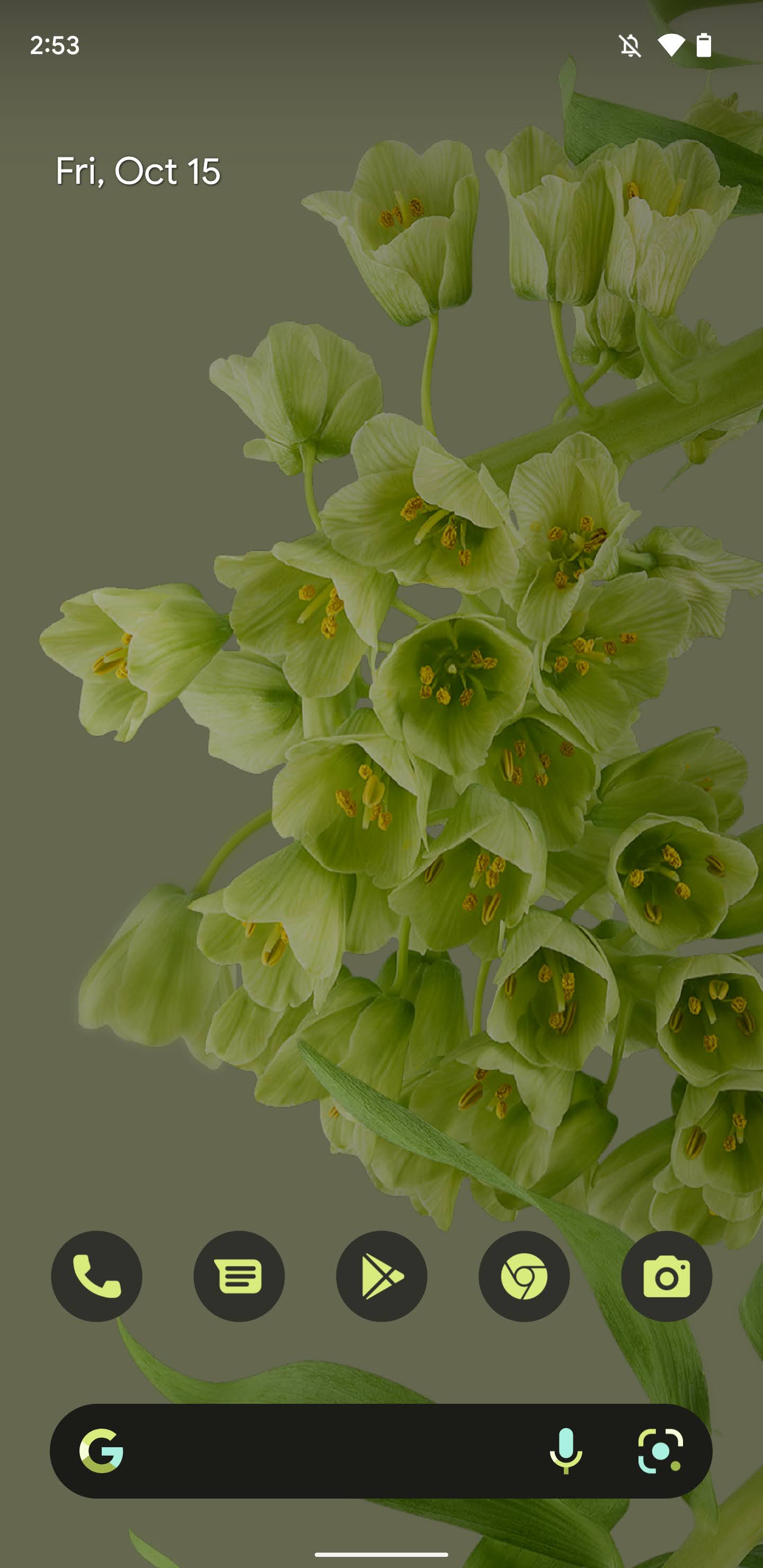 Pixel 6 will have 'Bloom' live wallpapers w/ blur & parallax 9to5Google