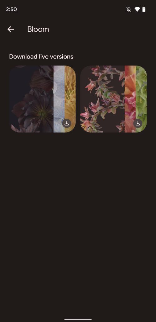 Pixel 6 will have 'Bloom' live wallpapers w/ blur & parallax - 9to5Google