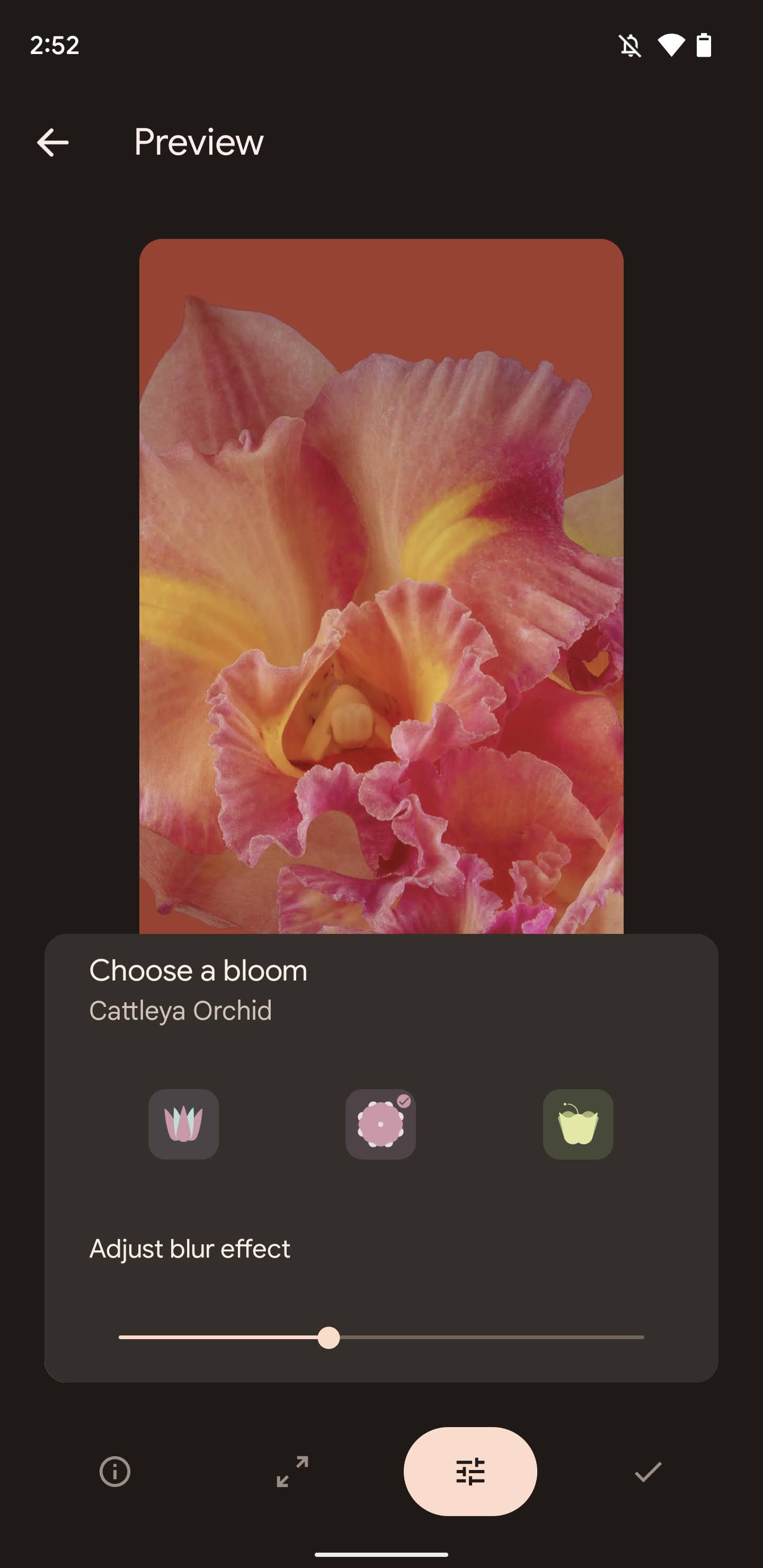 Pixel 6 will have 'Bloom' live wallpapers w/ blur & parallax 9to5Google
