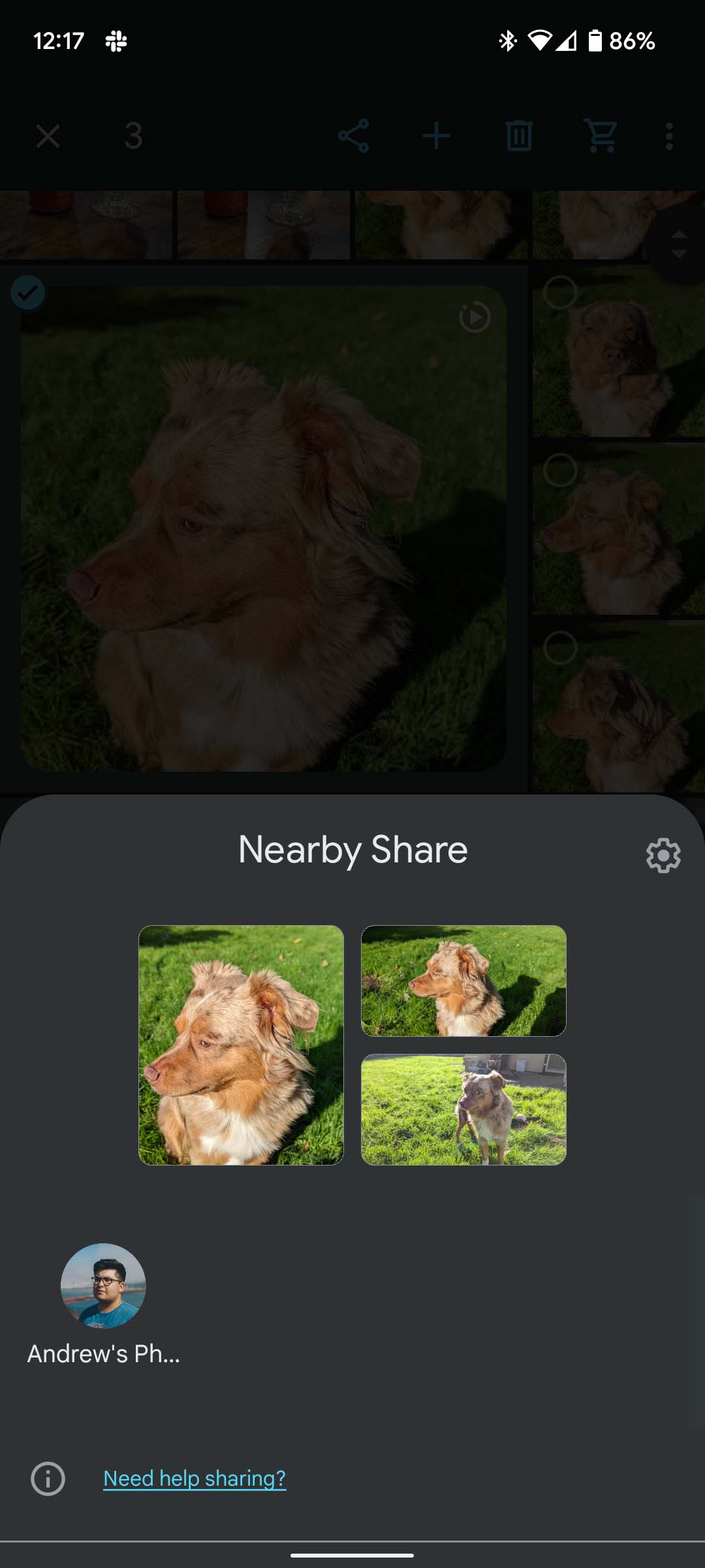 How to share your family photos on Android - 9to5Google