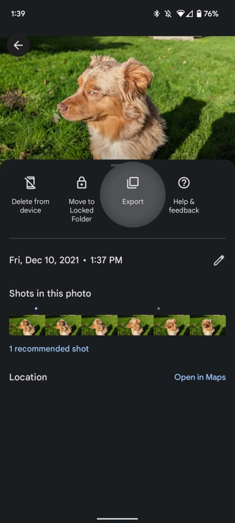 How to save Motion Photos as a GIF in Google Photos - 9to5Google