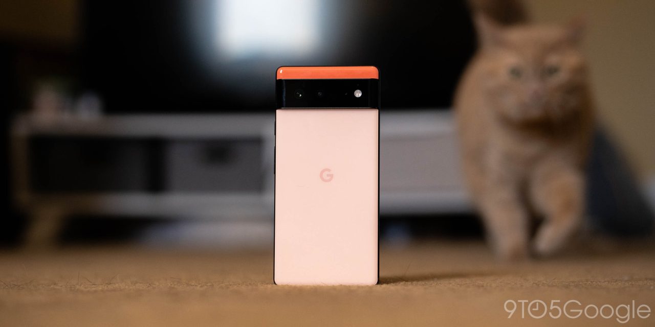 Google Pixel 6 with a cat in the background