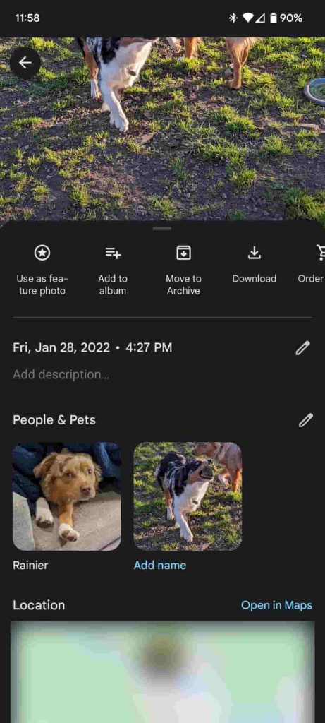 Google Photos image details data