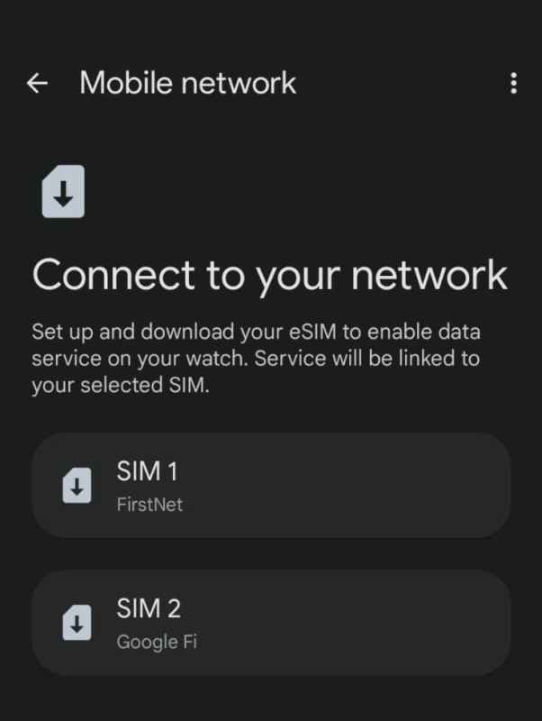 pixel-watch-dual-sim.jpg