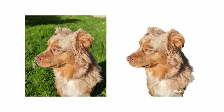 remove image background android