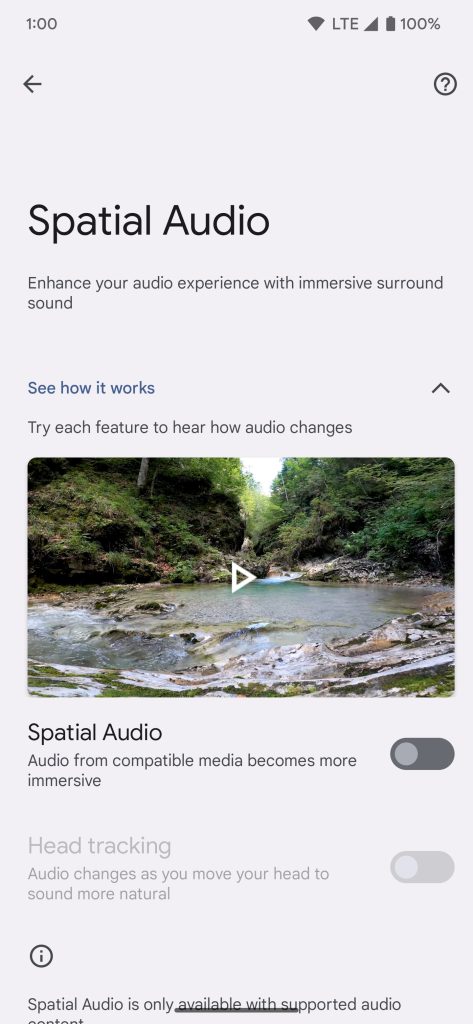 Pixel Buds Pro settings page with a demo video and toggles for "Spatial Audio" and "Head tracking" 