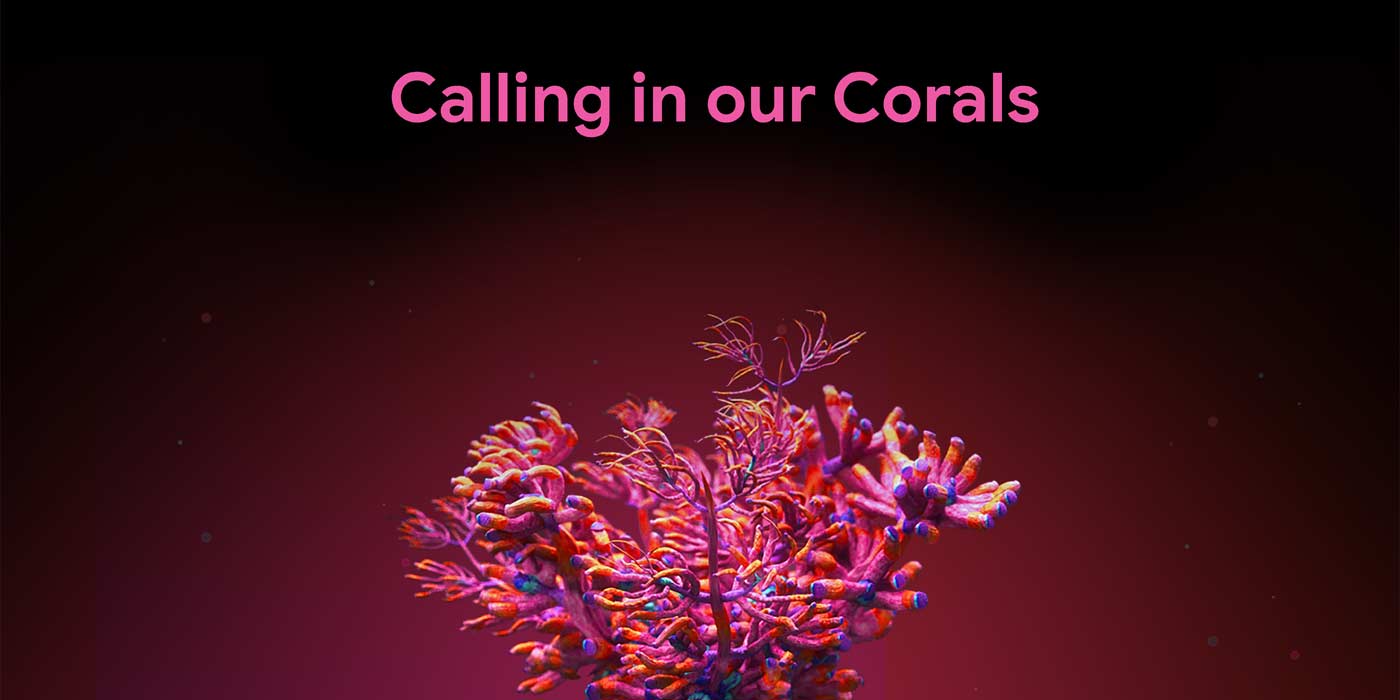 Google Arts Culture coral reefs AI