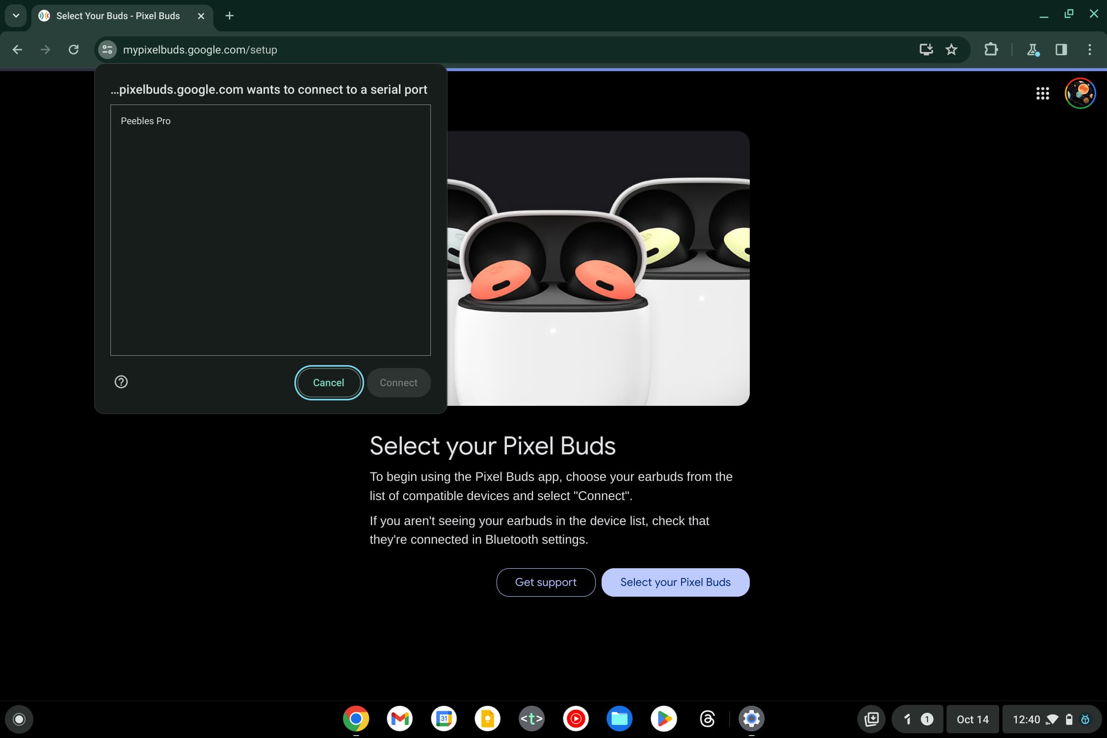  Pixel Buds web app