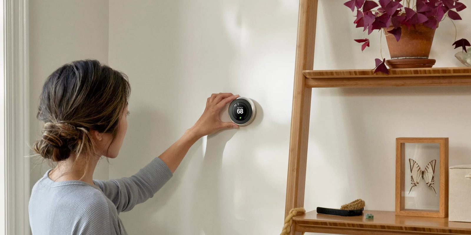 Google's Nest Renew will become Renew Home - The Verge