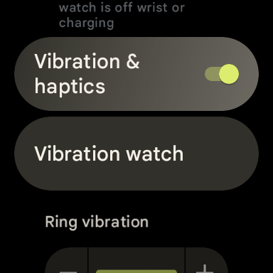 Pixel Watch gets a new way to tell the time with 'Vibration watch'