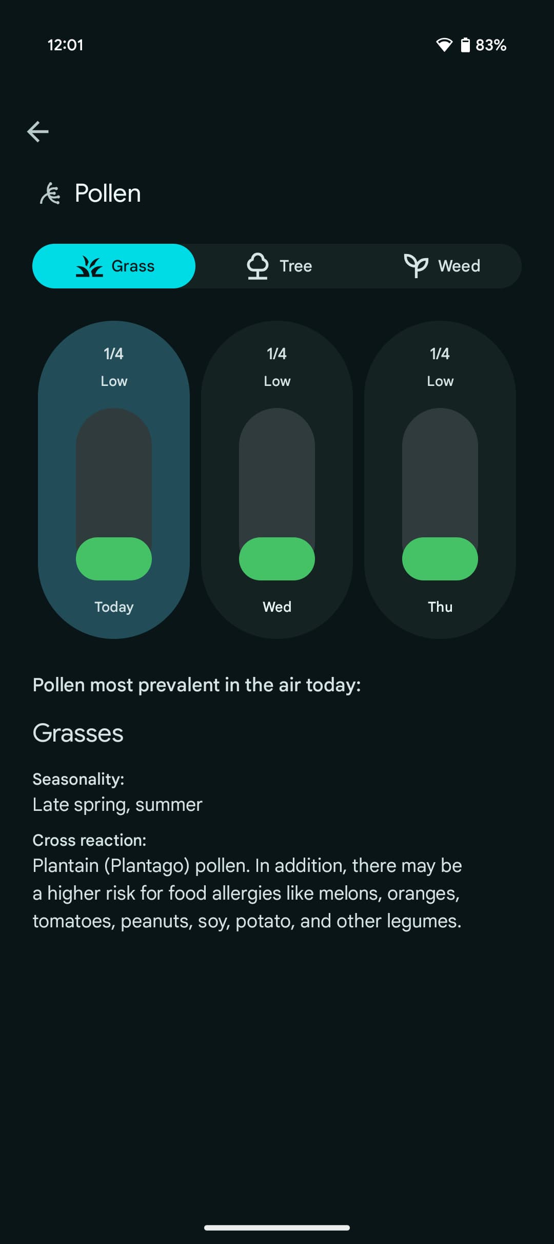 Pixel Weather rolls out Pollen count and 'Immersive' vibrations