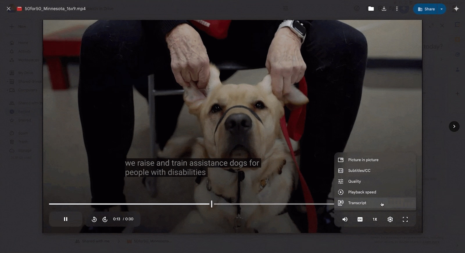 Google Drive video transcripts