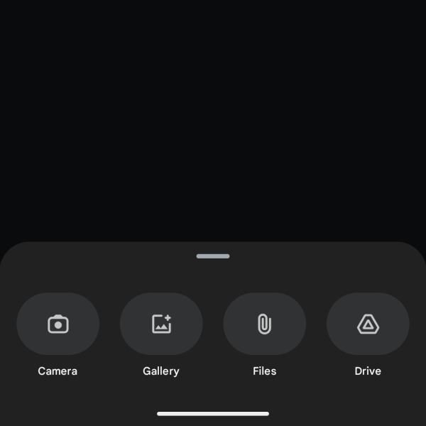 Gemini Video Upload Example